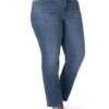 Lee Plus Size Regular Fit Flex Motion Straight Leg Jeans -Lee Outlet 81JLvSYT3LL. AC SR736920