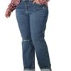Lee Plus Size Legendary Boyfriend Jeans 2 Lee Plus Size Legendary Boyfriend Jeans -Lee Outlet 81i8PR9IfSL. AC SR736920