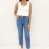 Lee Mid Slim Straight Jean Blue Fire Petite